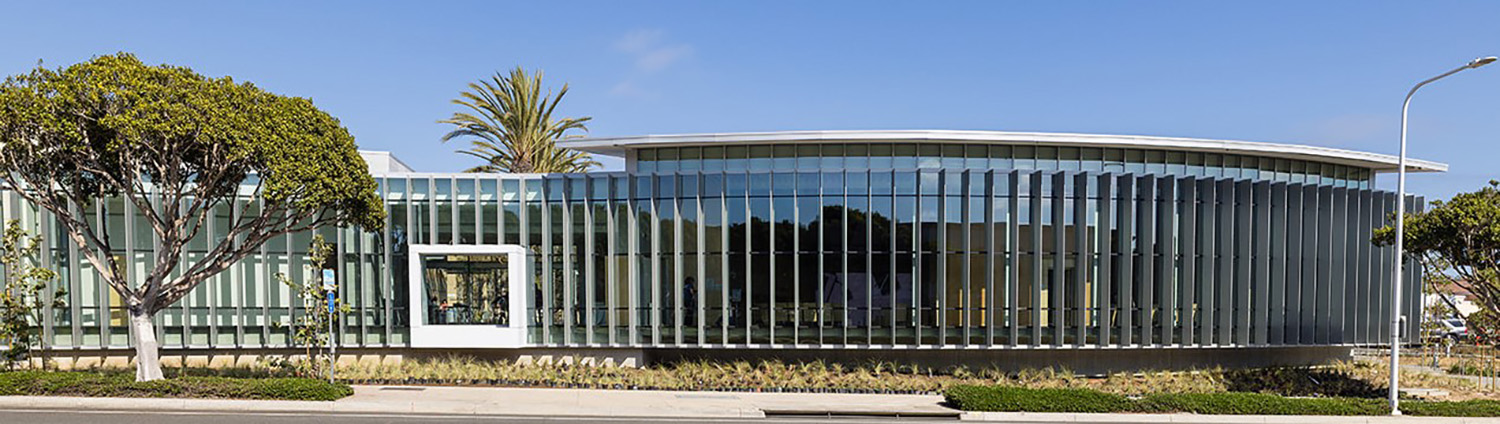Witte Hall from Avocado